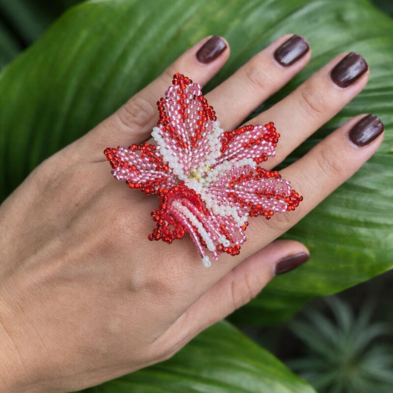 Anillo_2.0